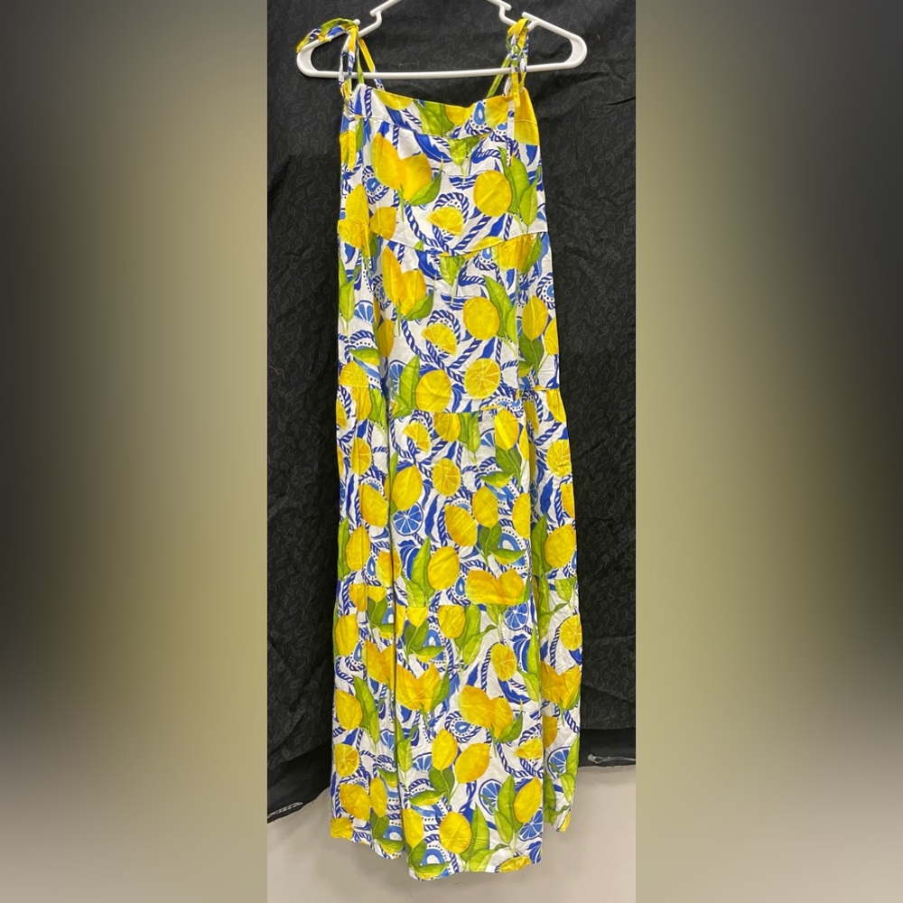 Kenny Flowers Positano Resort Dress